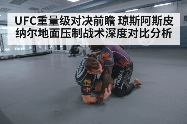 MMA ground grapple